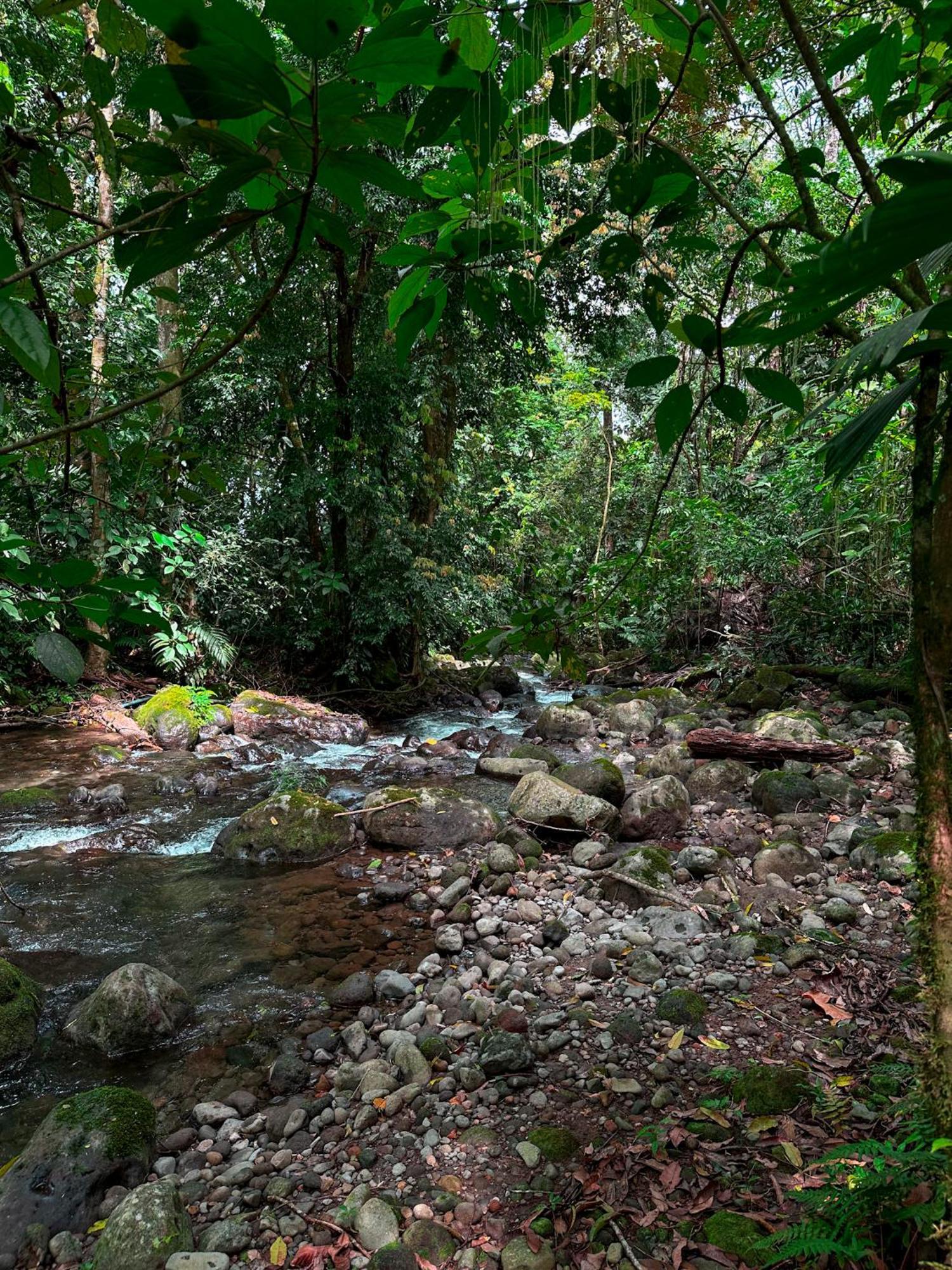 Cabanas Rio Escondido En La Fortuna Ngoại thất bức ảnh