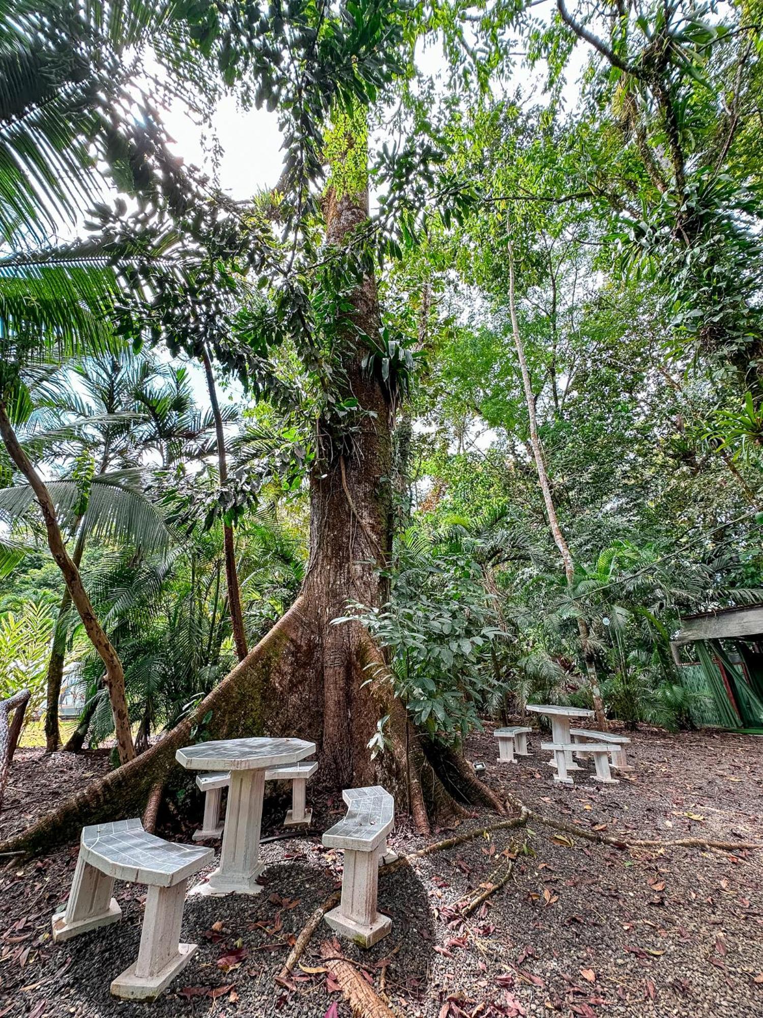 Cabanas Rio Escondido En La Fortuna Ngoại thất bức ảnh
