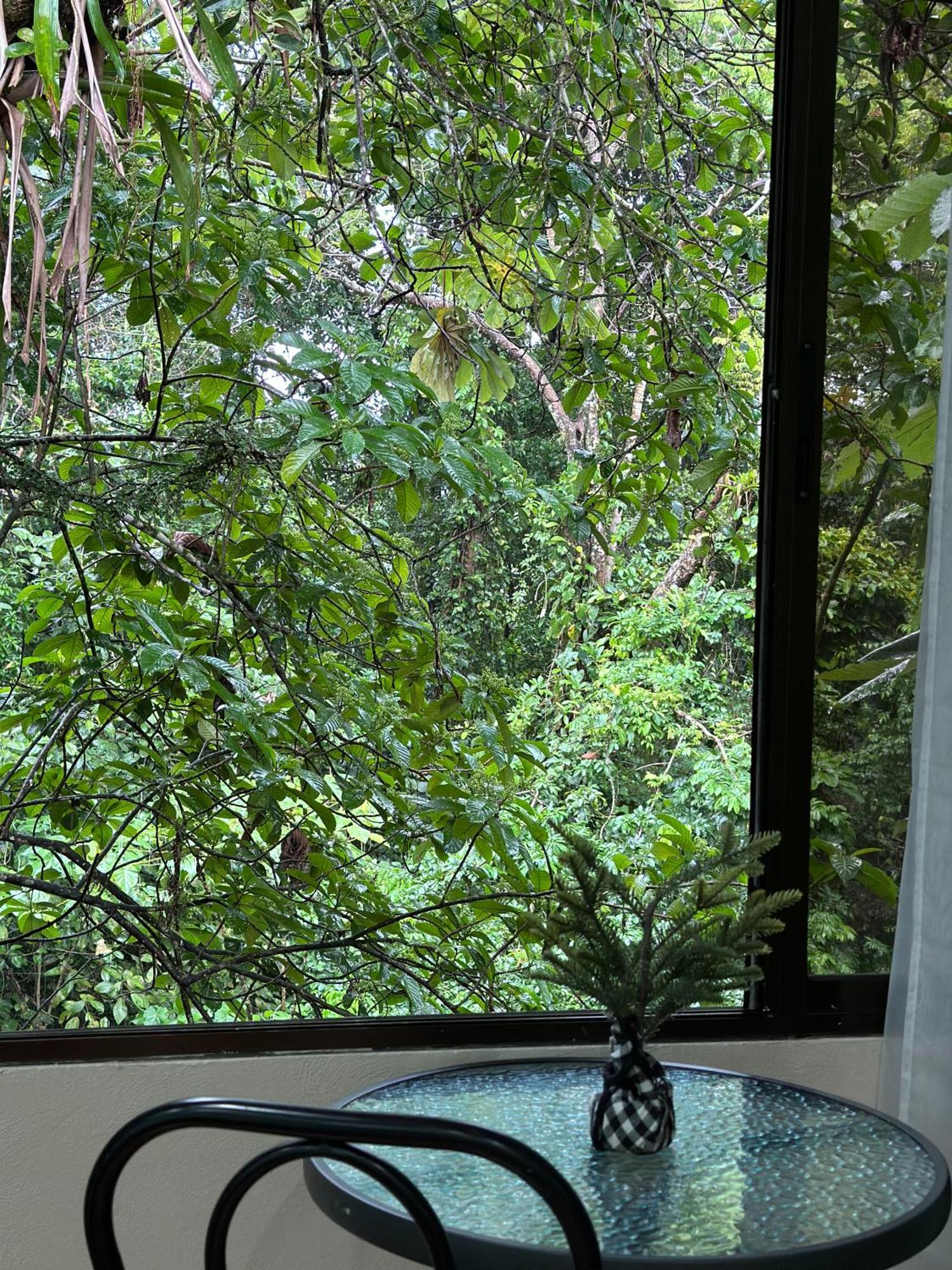 Cabanas Rio Escondido En La Fortuna Ngoại thất bức ảnh